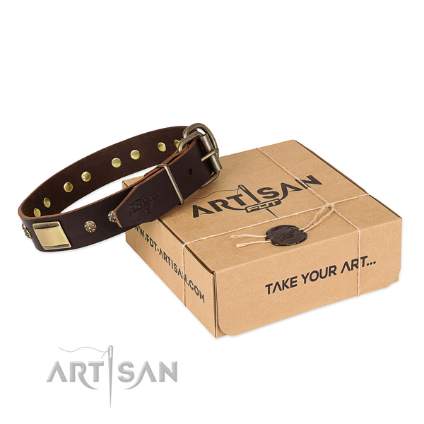 Exceptional genuine leather collar for your beautiful four-legged friend