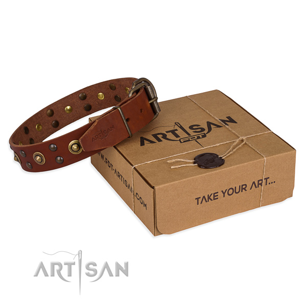 Durable buckle on full grain leather collar for your impressive canine