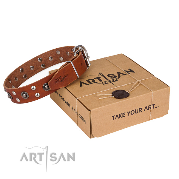 Rust resistant traditional buckle on full grain leather collar for your stylish doggie