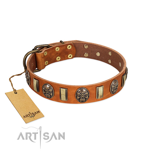 Fashionable leather dog collar for comfortable wearing