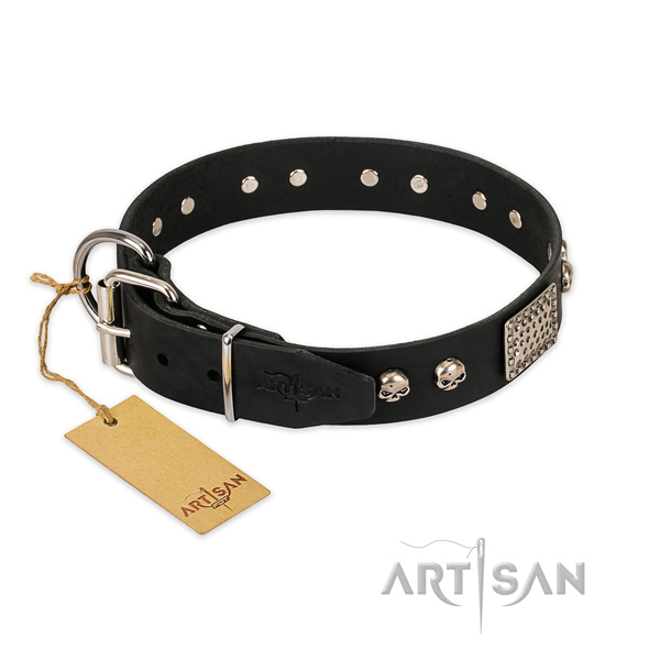 Reliable traditional buckle on everyday walking dog collar