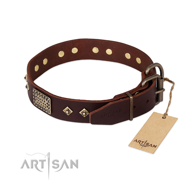 Genuine leather dog collar with durable traditional buckle and studs