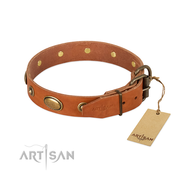 Reliable buckle on genuine leather dog collar for your four-legged friend