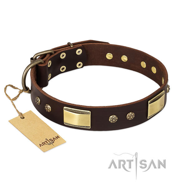 Leather dog collar with strong fittings and decorations