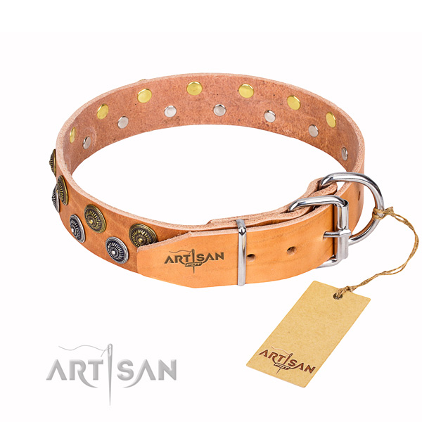 Fancy walking decorated dog collar of finest quality genuine leather
