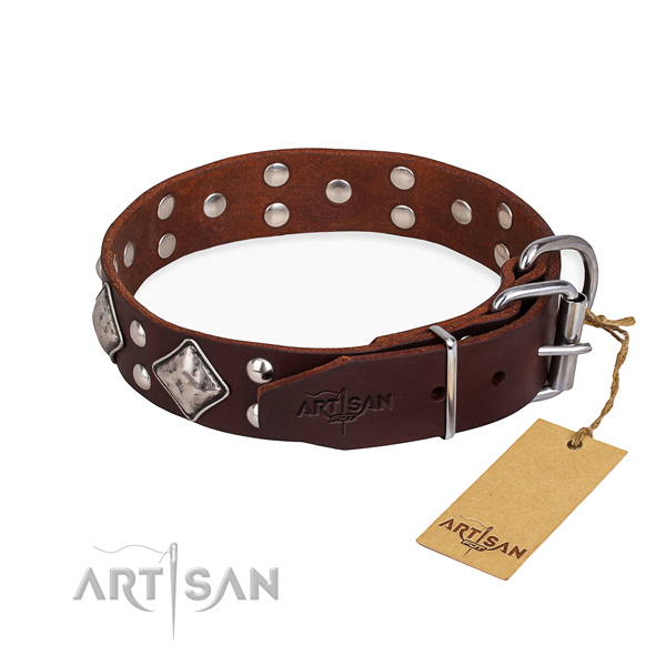 Natural leather dog collar with exceptional corrosion resistant adornments