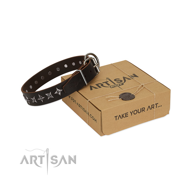 Daily walking dog collar of high quality full grain leather with studs