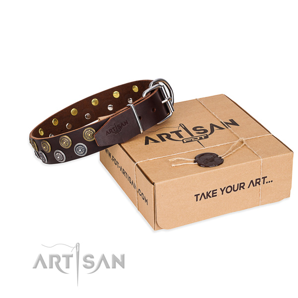 Stylish walking dog collar of high quality full grain leather with studs