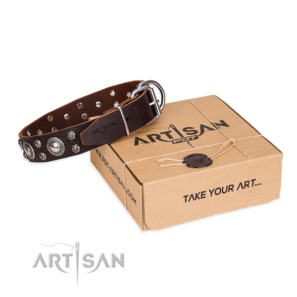 Fancy walking dog collar of top notch full grain leather with embellishments