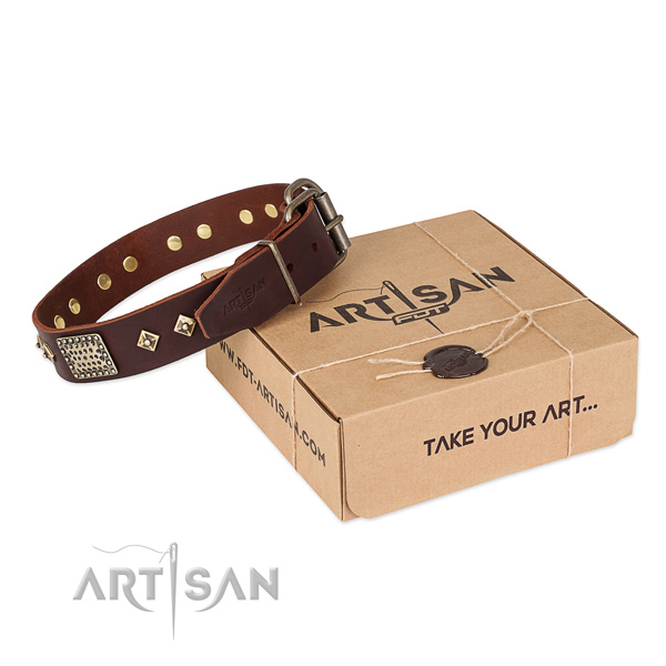 Exquisite full grain natural leather collar for your attractive doggie