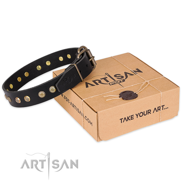 Reliable traditional buckle on full grain leather collar for your handsome canine