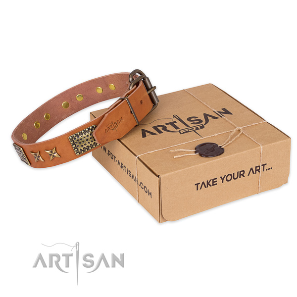 Durable buckle on genuine leather collar for your lovely four-legged friend