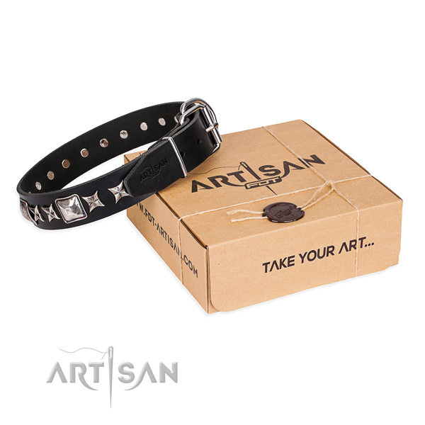 Walking dog collar of finest quality full grain leather with studs