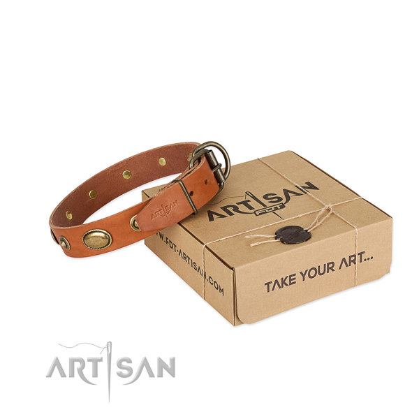 Easy wearing full grain natural leather collar for your handsome four-legged friend