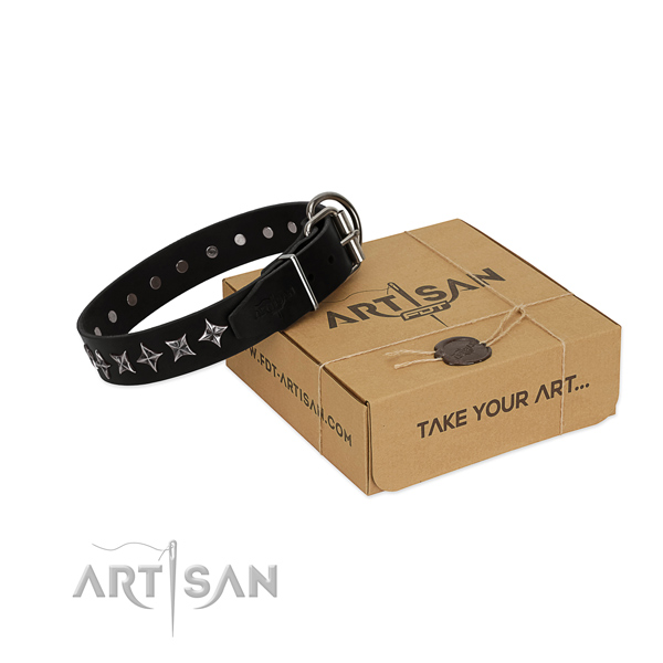 Everyday walking dog collar of strong leather with studs