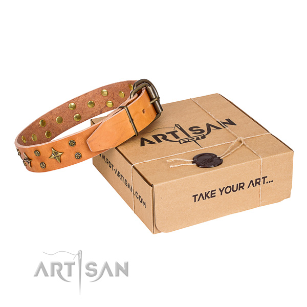 Daily walking dog collar of quality natural leather with adornments