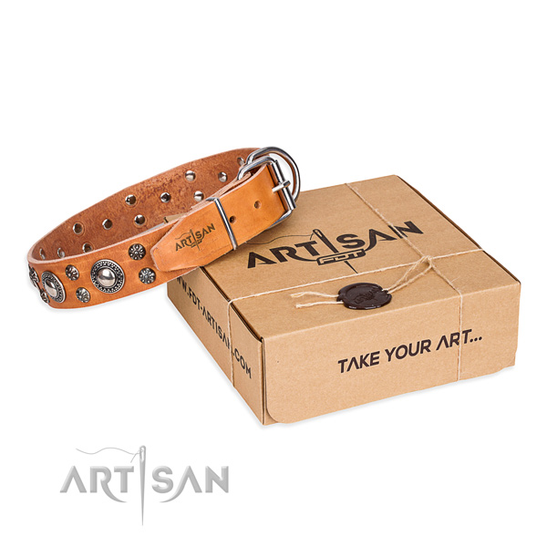 Daily walking dog collar of best quality full grain natural leather with decorations