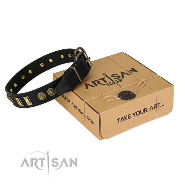 Corrosion resistant adornments on leather dog collar for your canine