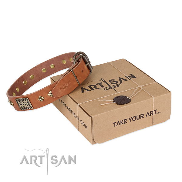 Best quality genuine leather collar for your lovely four-legged friend