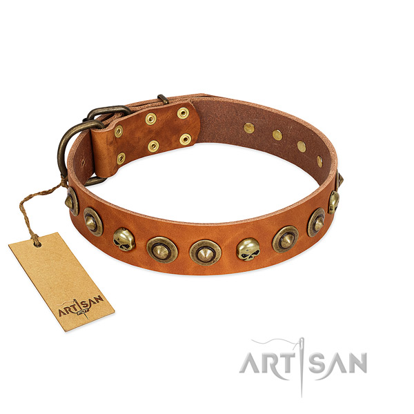 Full grain genuine leather collar with designer adornments for your canine