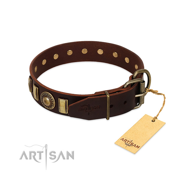 Stunning natural leather dog collar with strong fittings