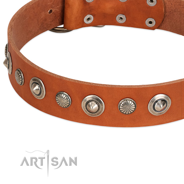 Full grain genuine leather collar with durable D-ring for your attractive four-legged friend