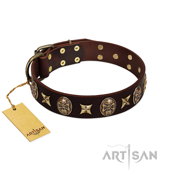 Fashionable leather collar for your canine