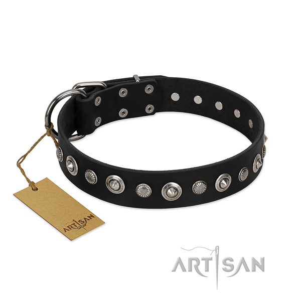 Durable full grain leather dog collar with unique embellishments