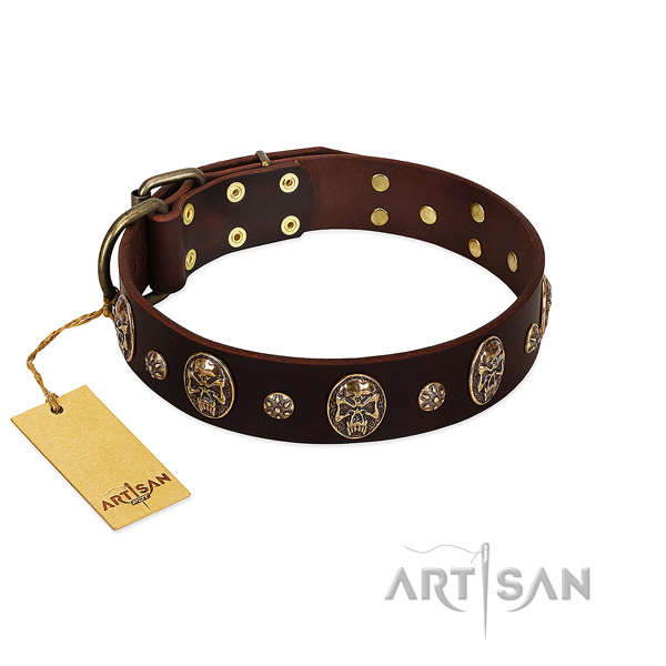 Fine quality leather collar for your dog