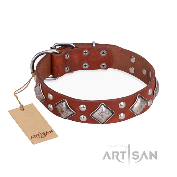 Comfortable wearing decorated dog collar with strong buckle