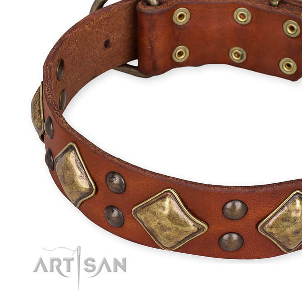 Full grain genuine leather collar with corrosion proof traditional buckle for your stylish dog