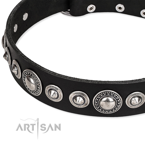 Handy use embellished dog collar of best quality full grain genuine leather