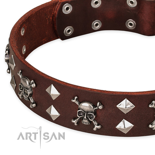 Daily use decorated dog collar of durable full grain natural leather