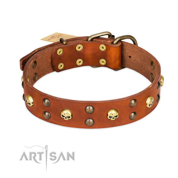 Easy wearing dog collar of top notch full grain leather with studs