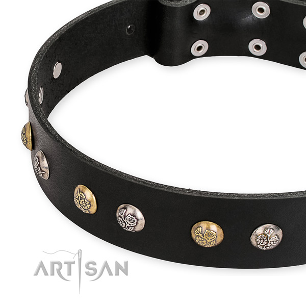 Full grain natural leather dog collar with fashionable strong studs