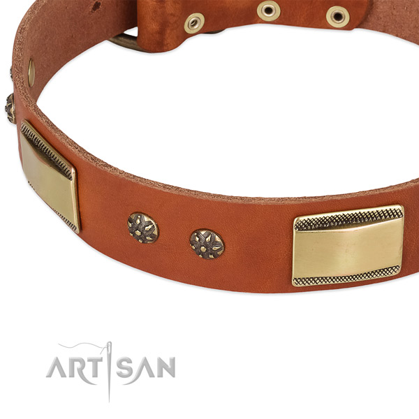 Reliable fittings on genuine leather dog collar for your pet