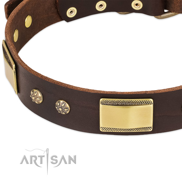 Rust resistant traditional buckle on leather dog collar for your pet