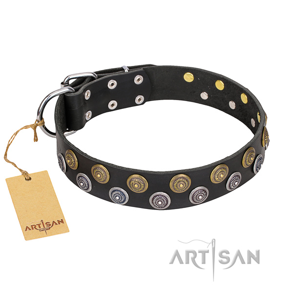 Stylish walking dog collar of strong full grain genuine leather with adornments