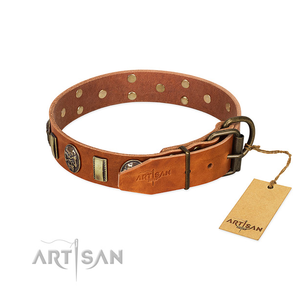 Corrosion resistant fittings on leather collar for daily walking your four-legged friend