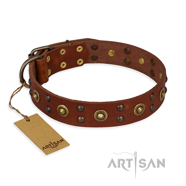 Stylish genuine leather dog collar with reliable D-ring