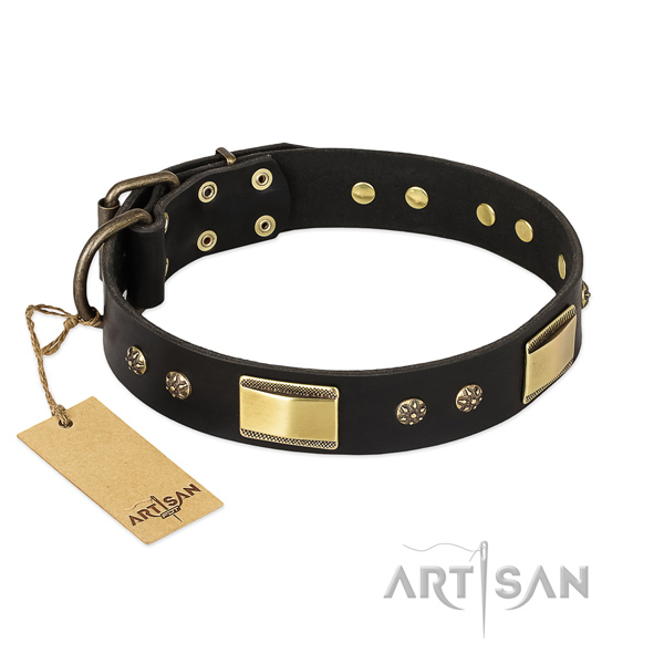 Unique leather dog collar for fancy walking