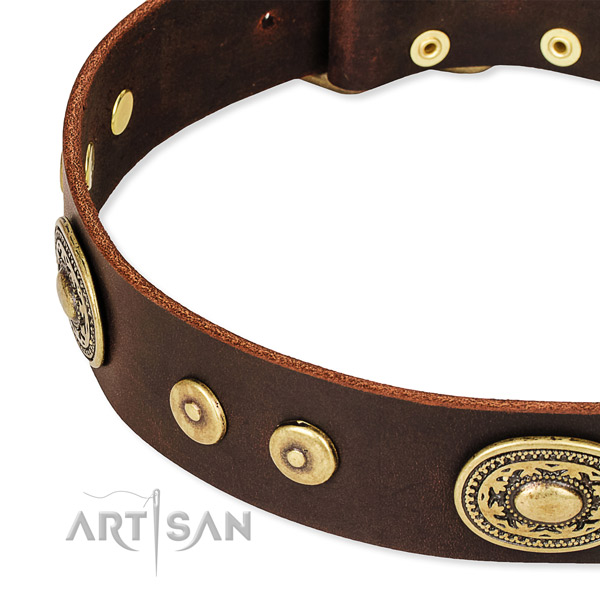 Embellished dog collar made of best quality leather