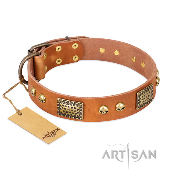 Easy wearing leather dog collar for basic training your canine