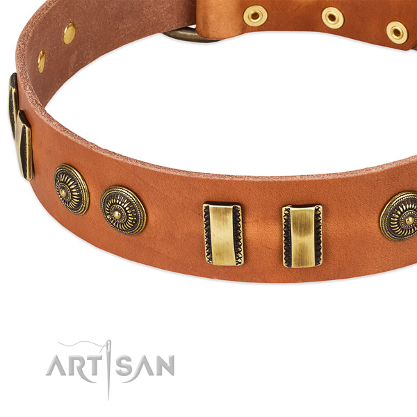 Rust-proof embellishments on natural leather dog collar for your four-legged friend