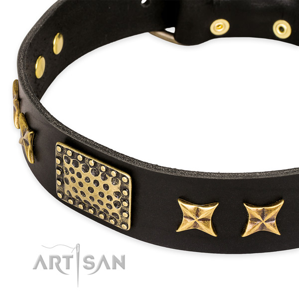 Leather collar with reliable D-ring for your impressive dog