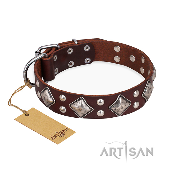 Fancy walking comfortable dog collar with rust resistant fittings