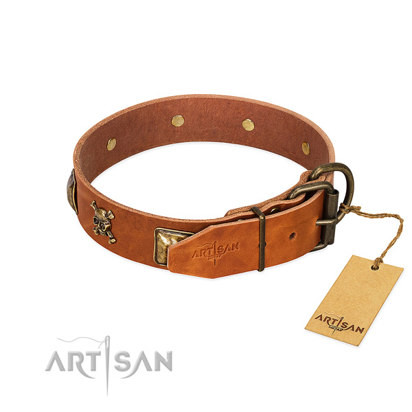 Remarkable genuine leather dog collar with rust-proof adornments