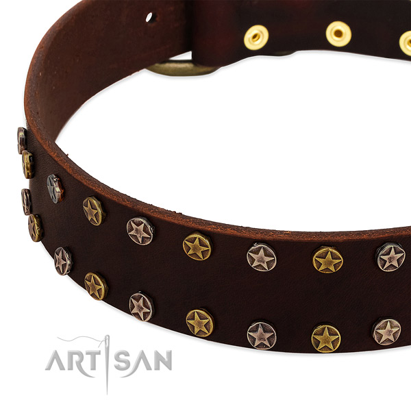 Comfortable wearing full grain leather dog collar with remarkable embellishments