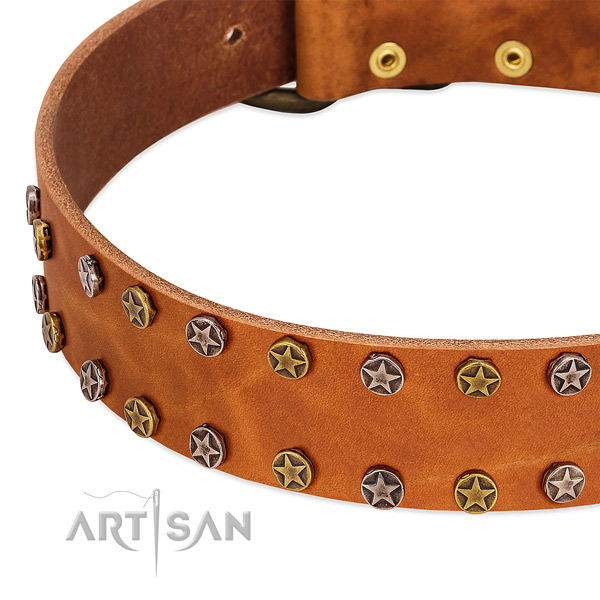 Comfy wearing genuine leather dog collar with unusual embellishments