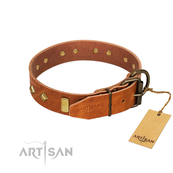 Stylish walking full grain genuine leather dog collar with stunning adornments